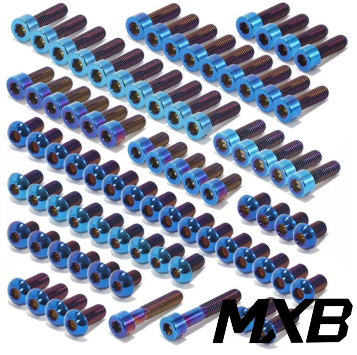 E Ride Pro S/SS Titanium Bolt Kit