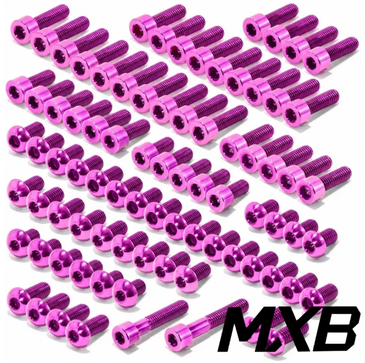 E Ride Pro S/SS Titanium Bolt Kit